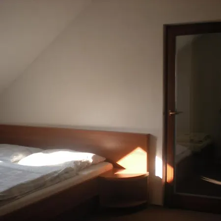 Slunecnice Dolní Dunajovice