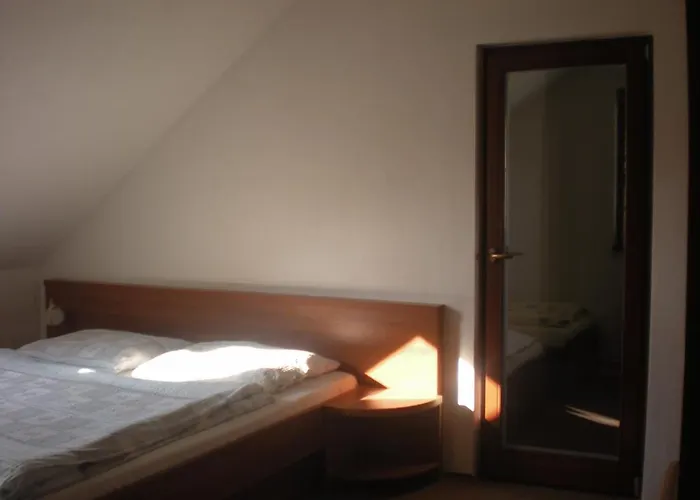 Slunecnice Dolní Dunajovice
